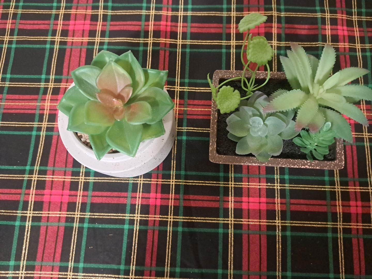Mini Artificial Succulent Plants Set Of 2 In Pots Minimalist Modern Home Decor