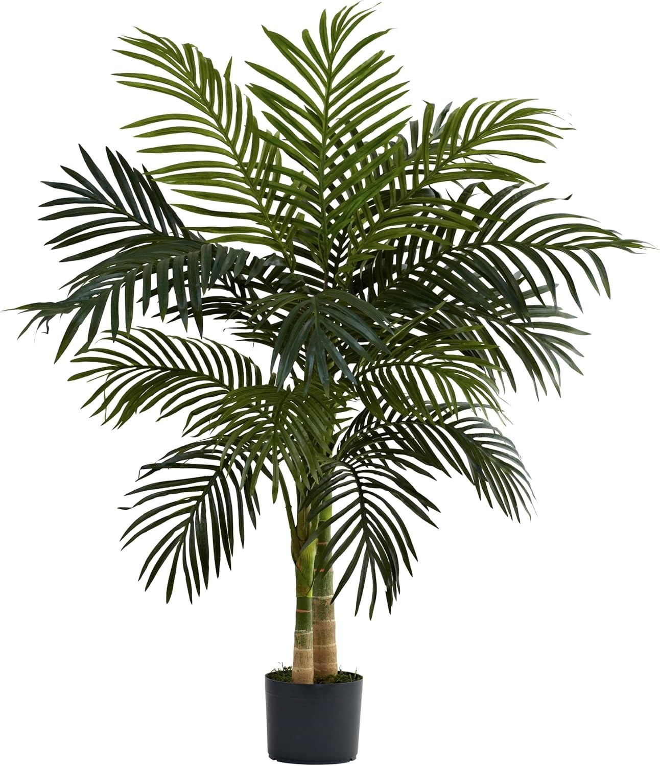 Elegant 4ft Golden Cane Palm Tree | Lush Foliage, Home Decor