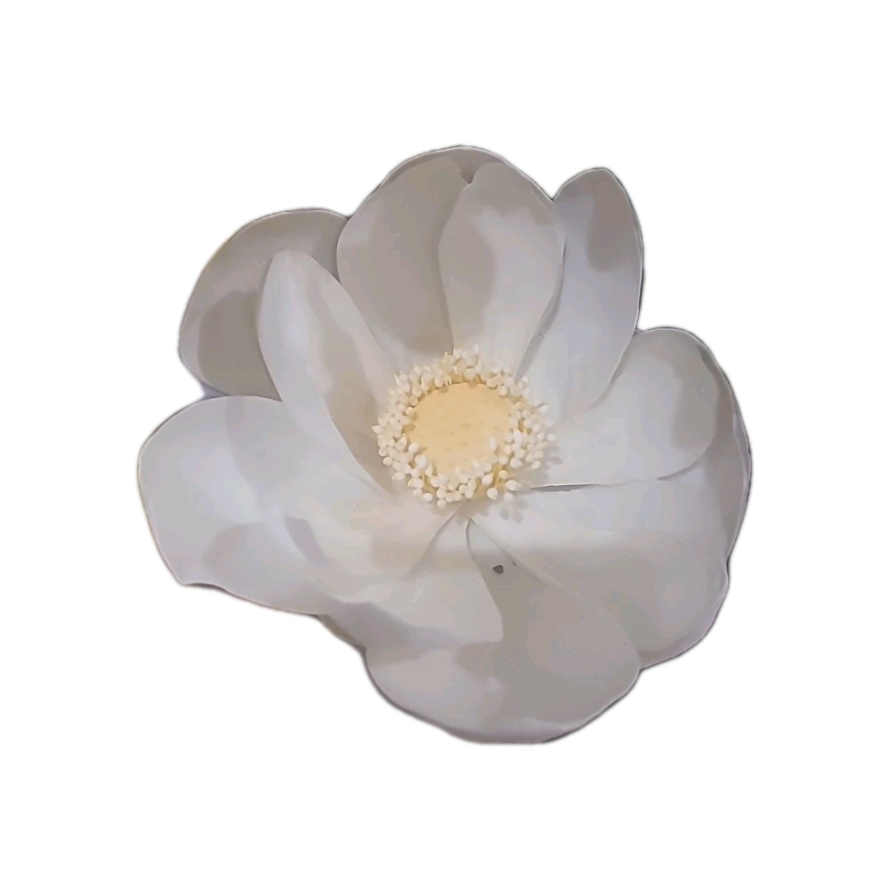 Set Of 3, 20″ White Magnolia Realistic Faux Silk 8″ Flowers Indoor Decoration
