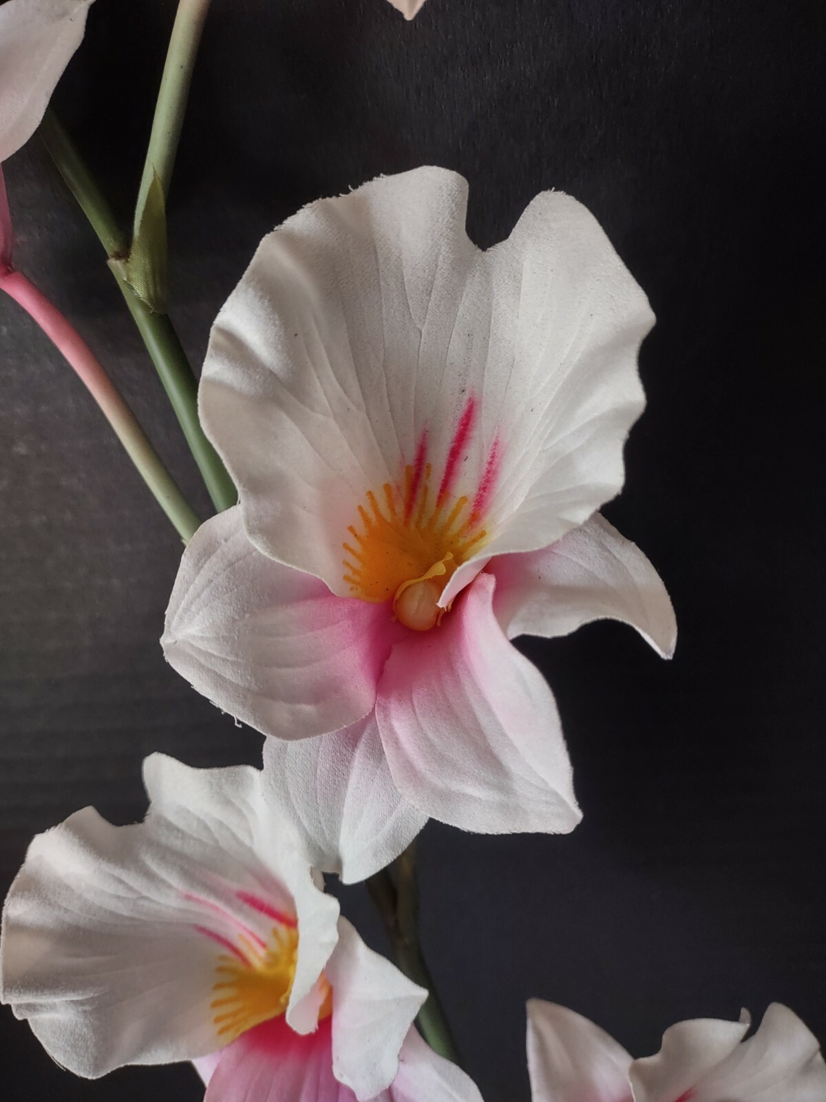 Artificial miltoniopsis orchid stem CREAM and PINK BLUSH