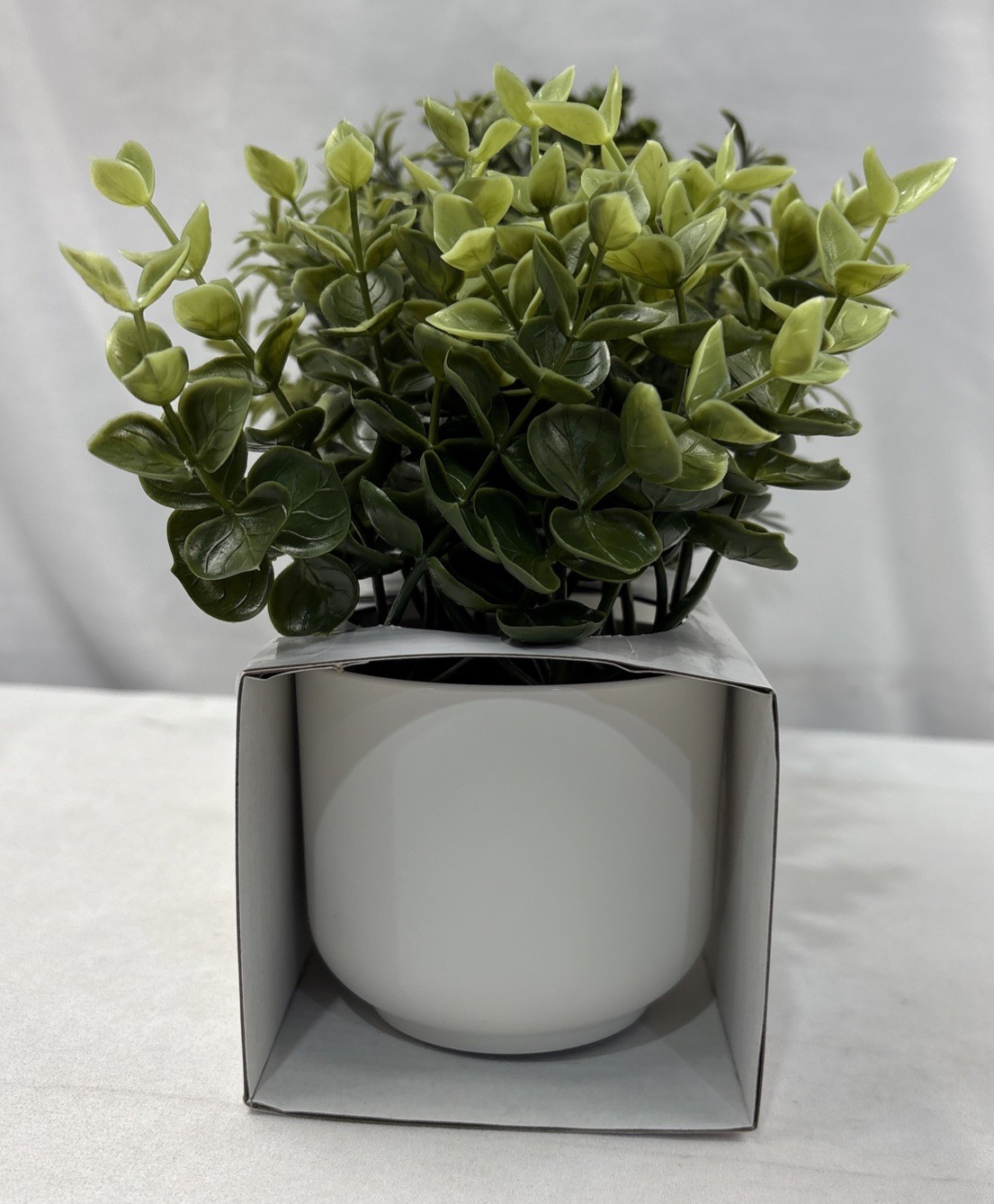 Room Essentials Three Herb Artificial Plants in White Pots. New