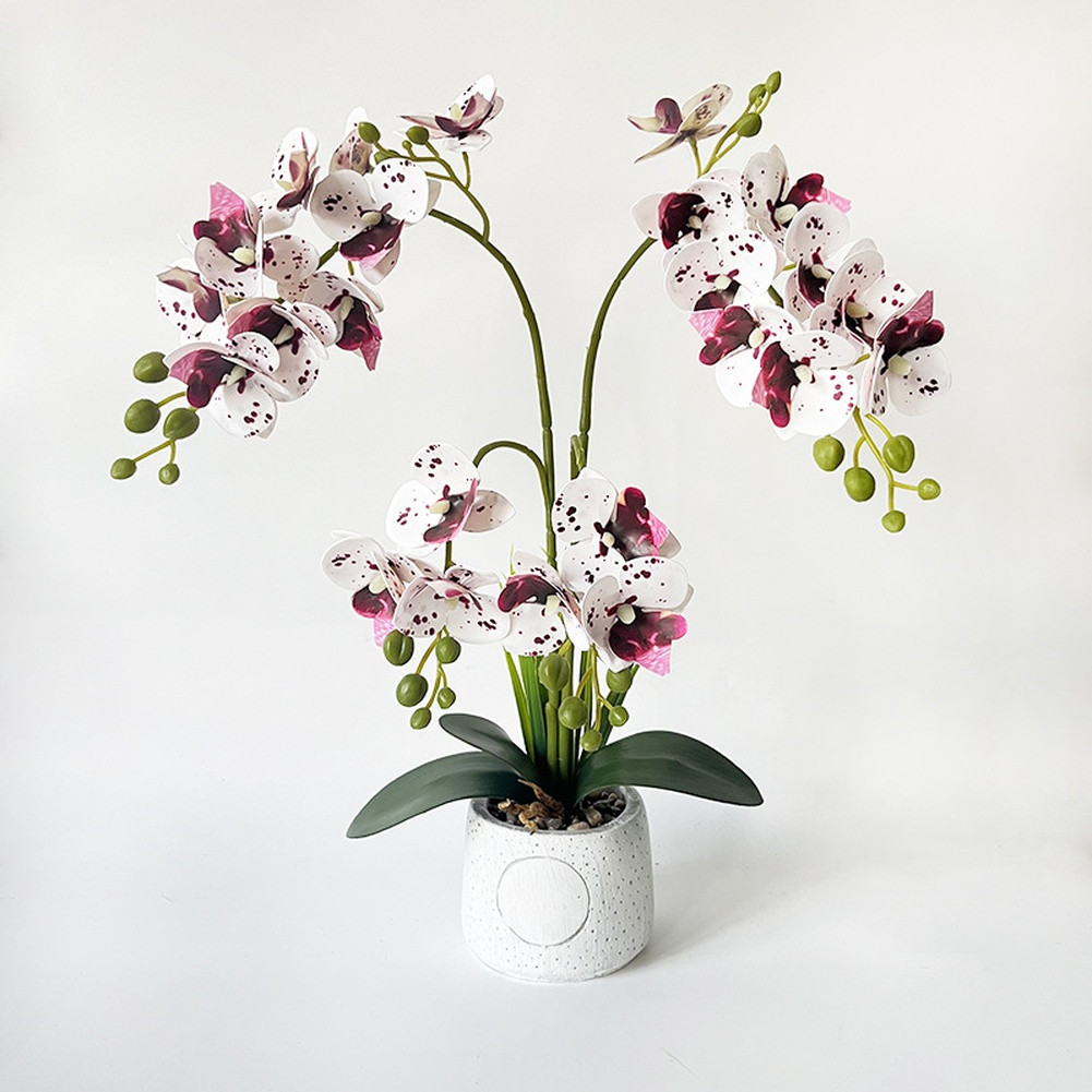 24-Head Artificial Orchid with Delicate Buds and Leaves in Speckled Pot