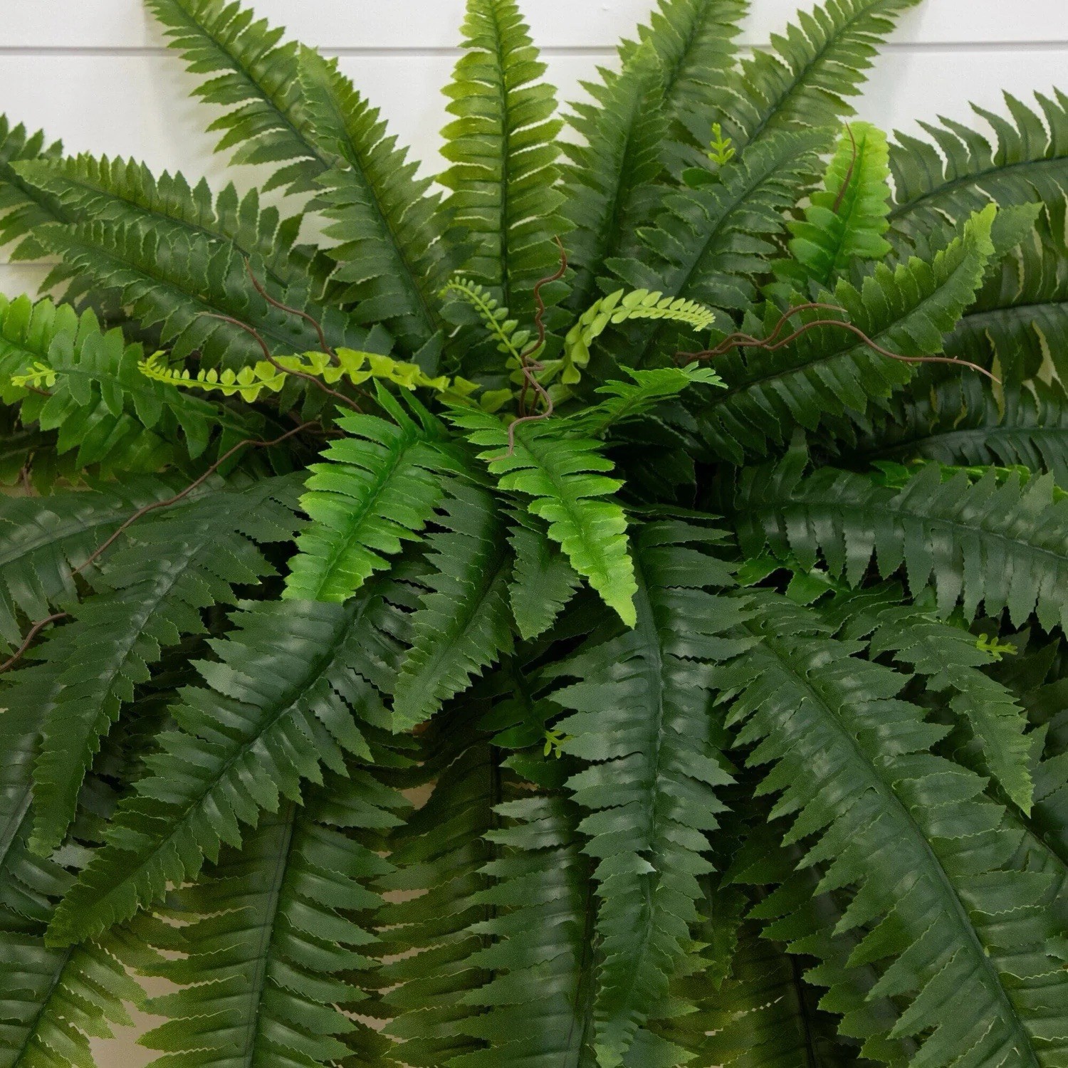 48″ UV Resistant Artificial Boston Fern (Indoor/Outdoor) – Set of 2