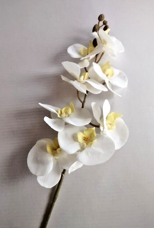 Artificial Phalaenopsis Orchid flower stem WHITE
