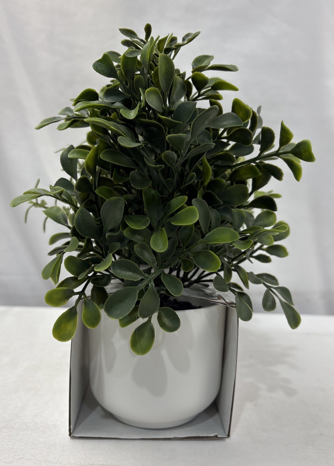 Room Essentials Three Herb Artificial Plants in White Pots. New