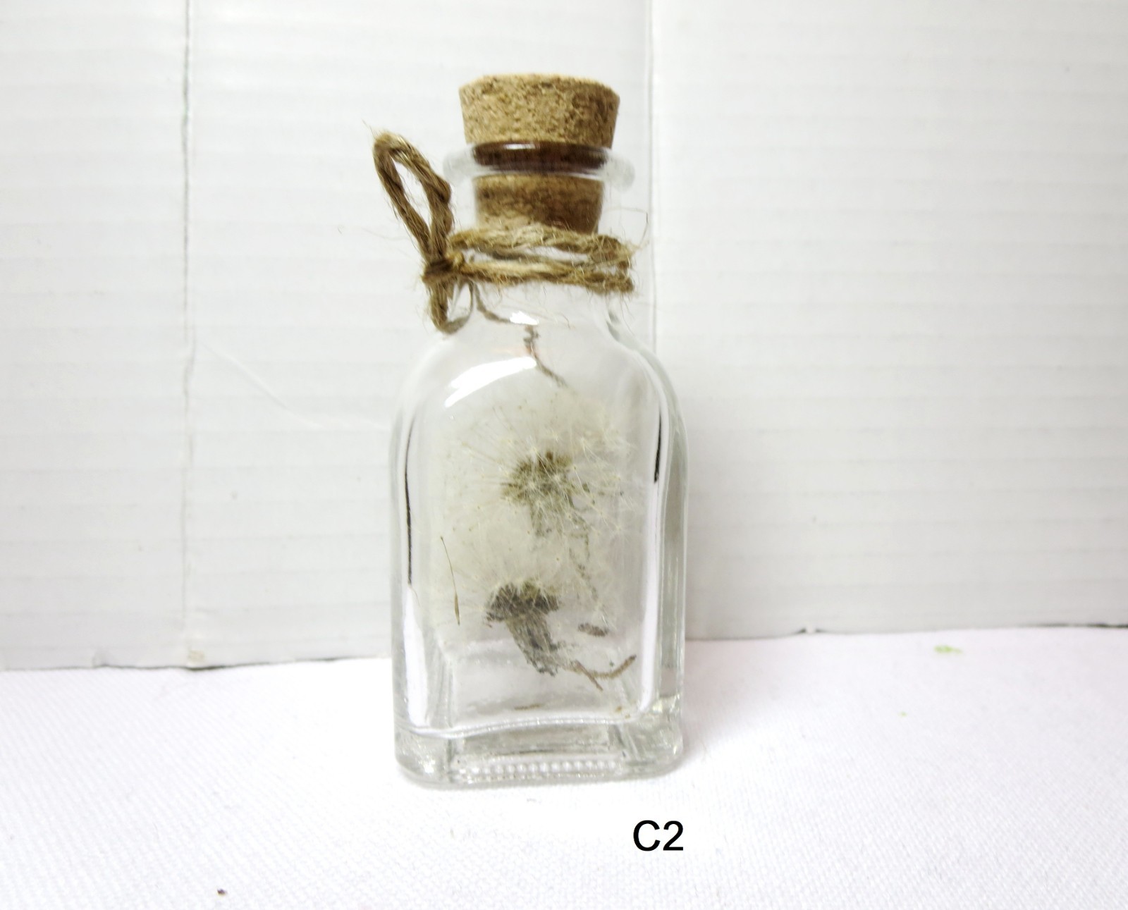 Dried Dandelion Art Dandelion Flower For Craft Dried Flowers decor Dandelions