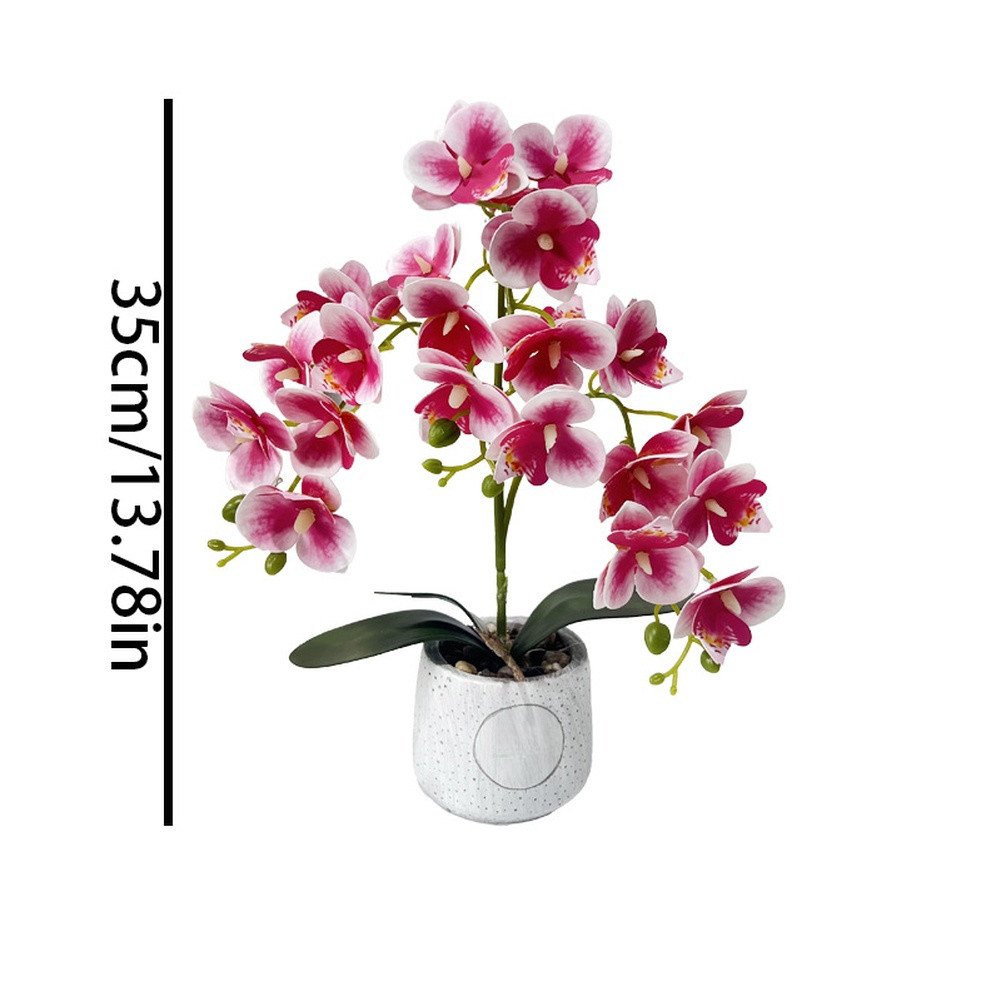 Synthetic Butterfly Orchid in Matte Cement Pot for Modern Farmhouse Decor Style