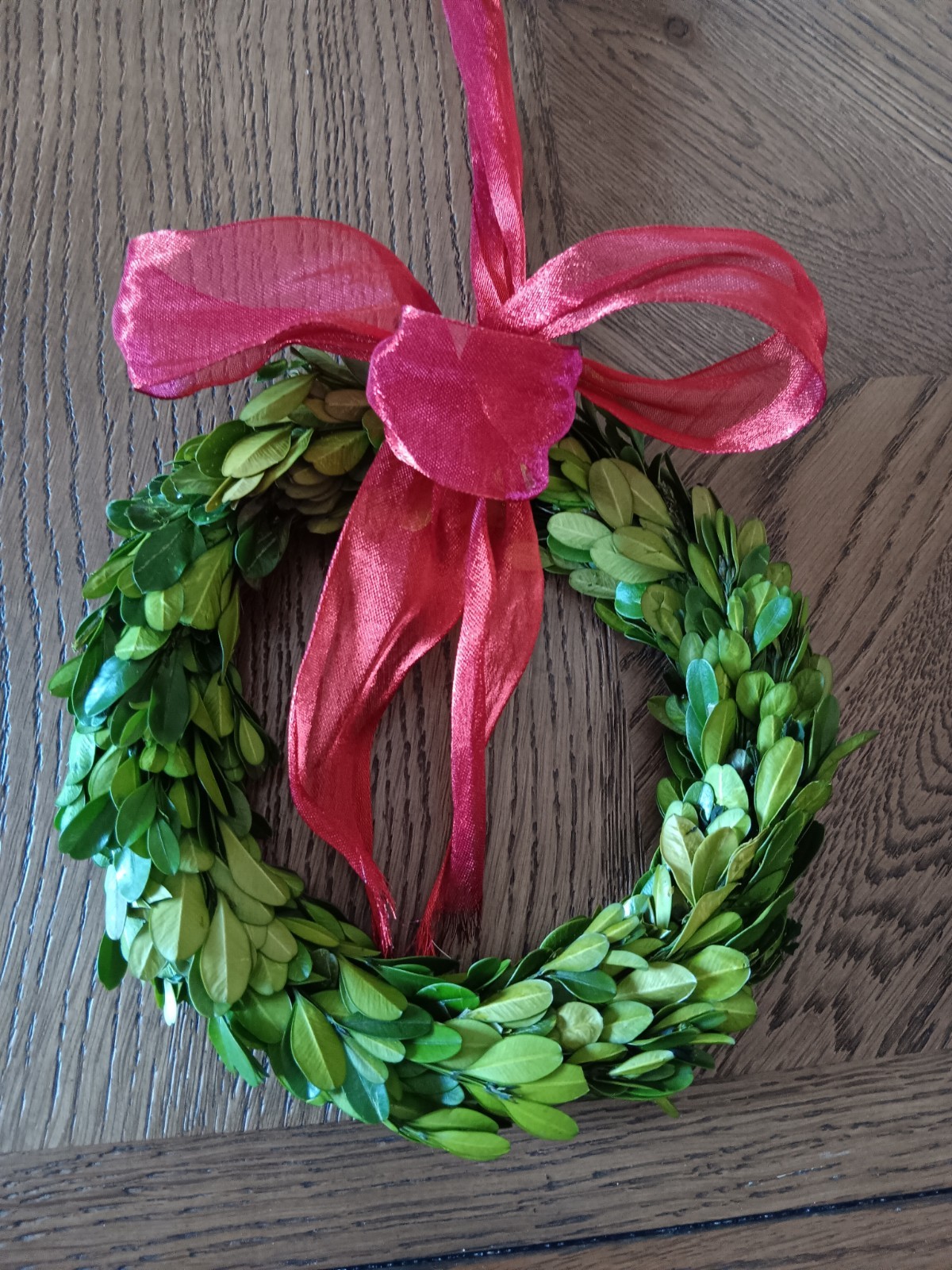 Preserved Boxwood Wreath 7″ Swiss Colony Box RARE