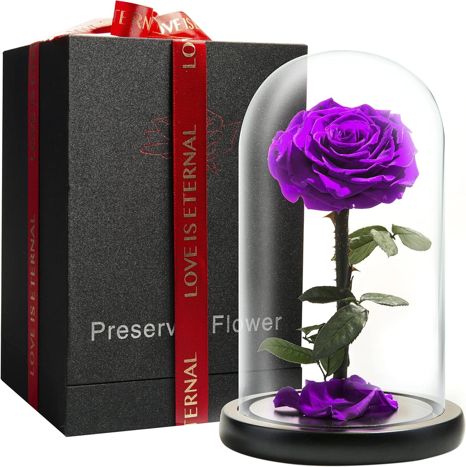 Forever Preserved Rose – Eternal Rose in Glass Dome – Beauty and the Beast Rose