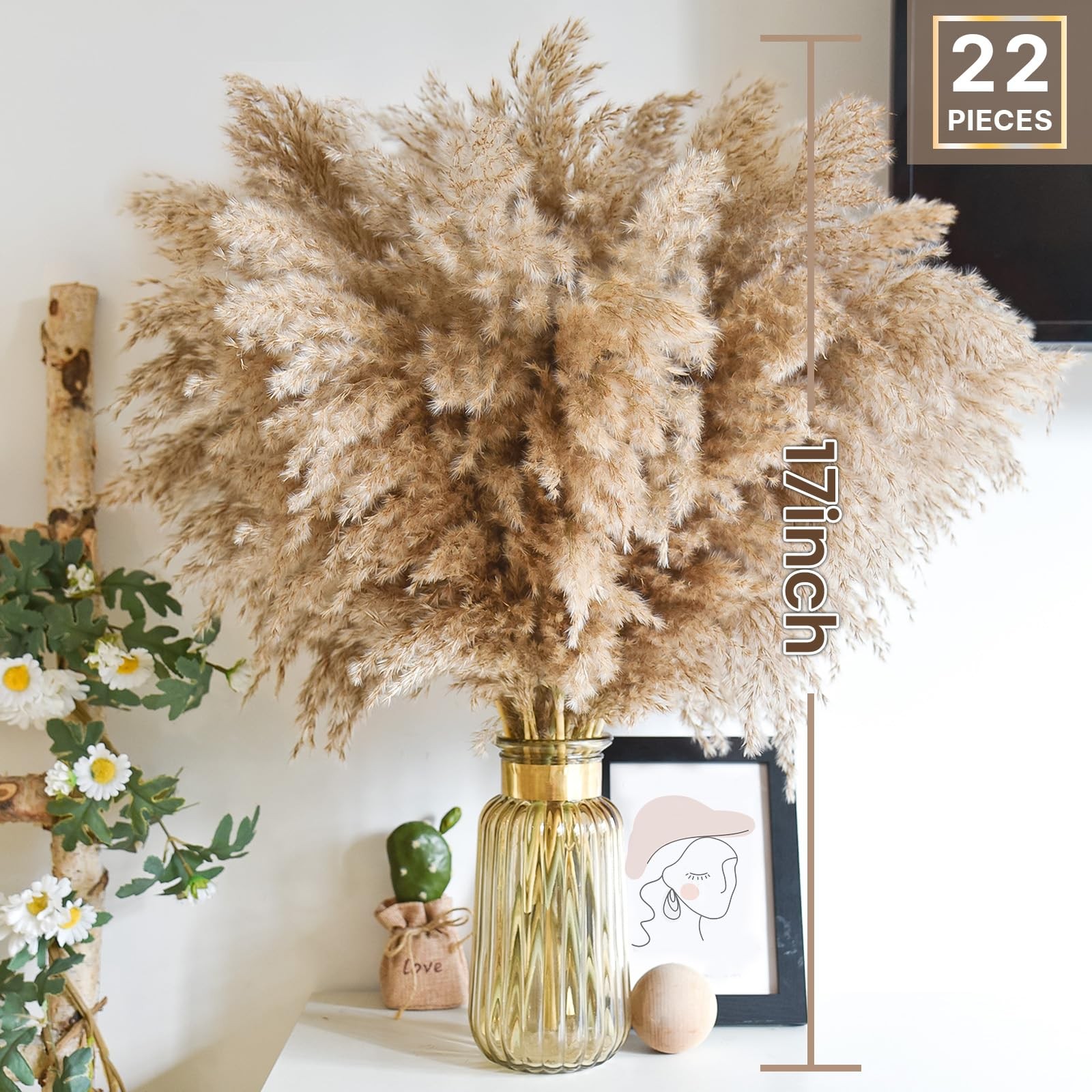 22pcs Pampas Grass Decor-Natural Dried Fluffy Brown Pompas Grass,Short Fluffy…