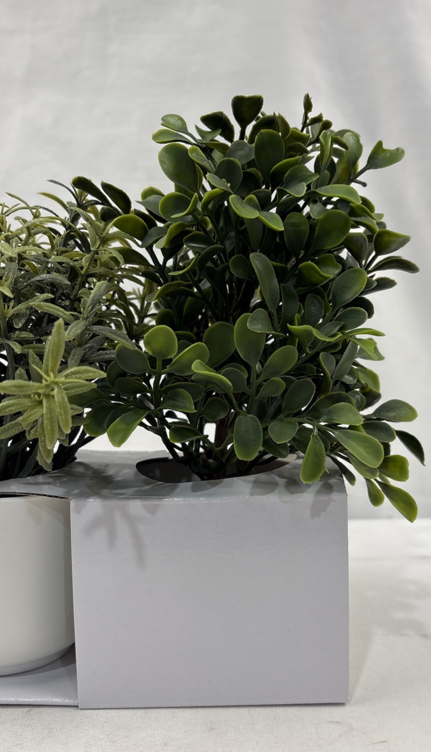 Room Essentials Three Herb Artificial Plants in White Pots. New