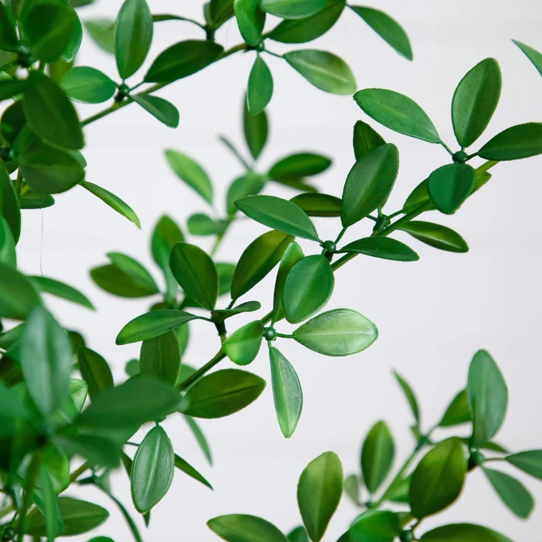 4′ Artificial Shady Lady Black Olive Tree
