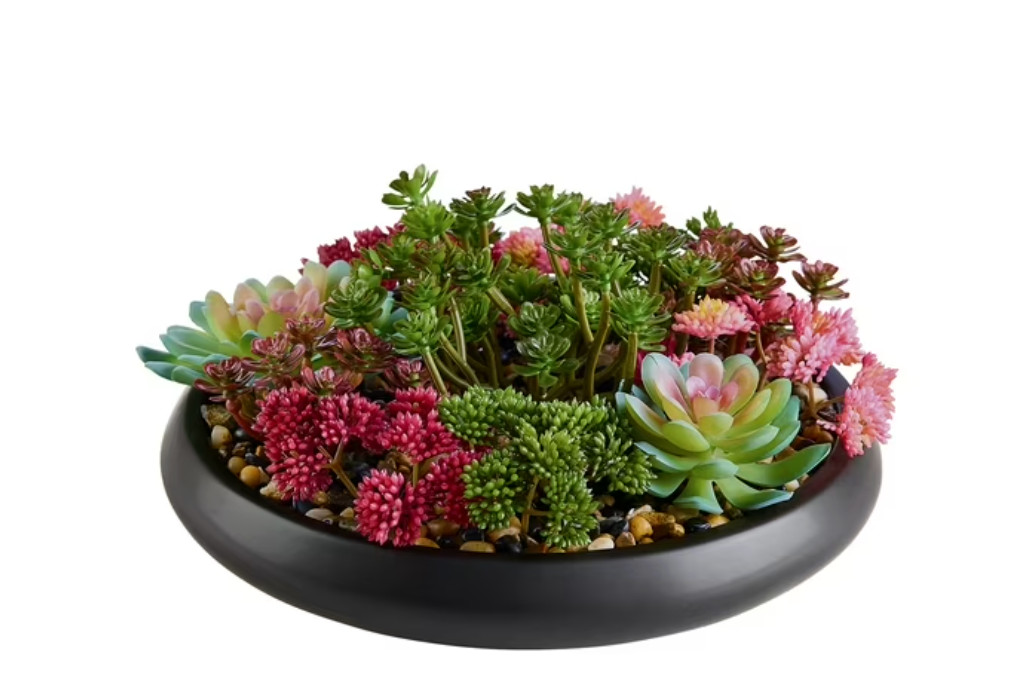 Better Homes & Gardens Artificial Mixed Succulent in Black Round Ceramic Bowl