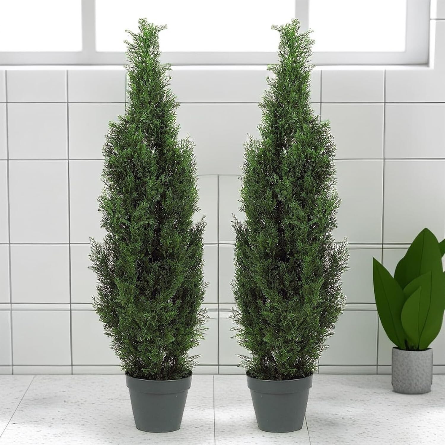 Decorative 3′ Cedar Topiary Trees in Pots – 2-Piece Set for Year-Round Charm