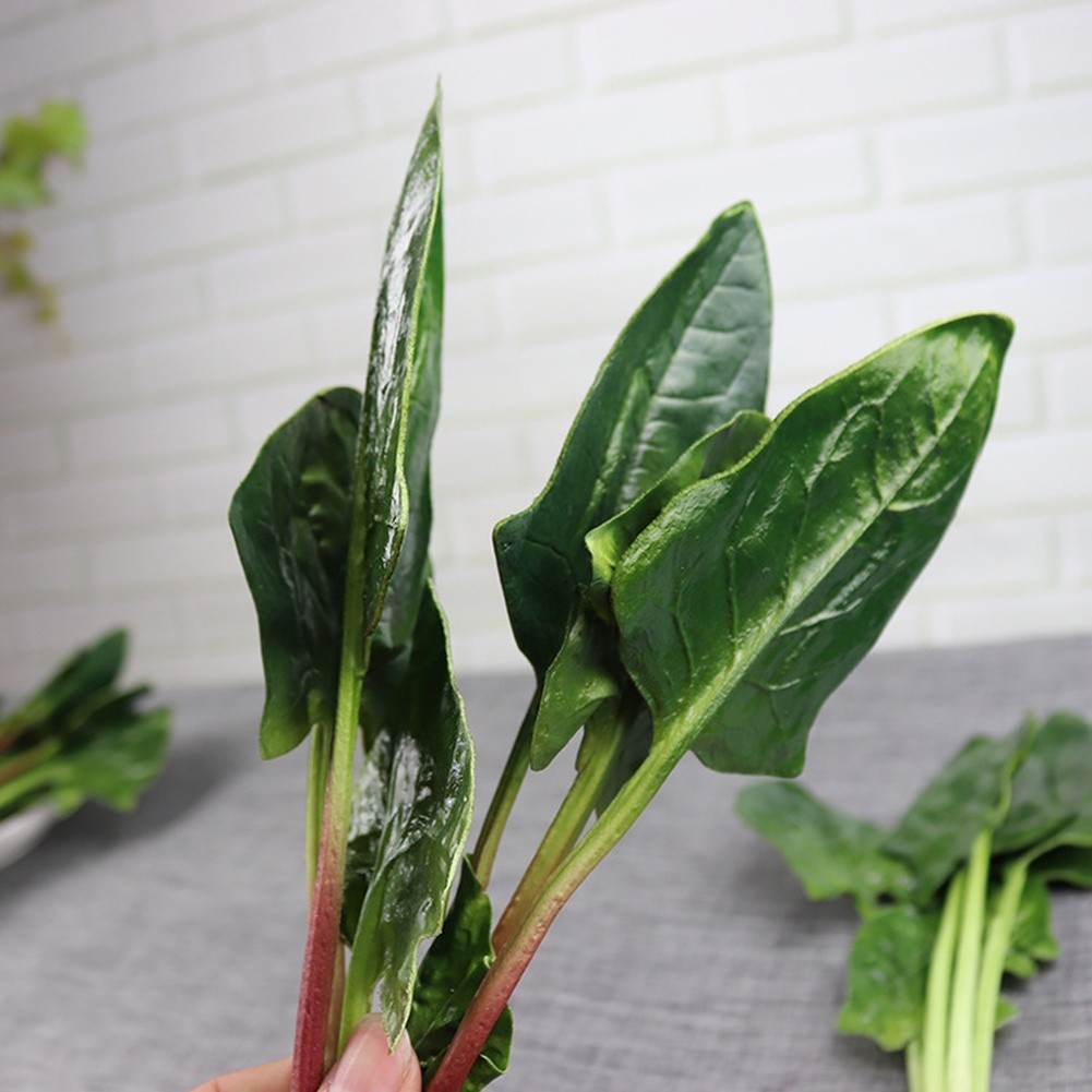 Decorative Spinach Piece for Spring Summer Fall Winter Interior Accents