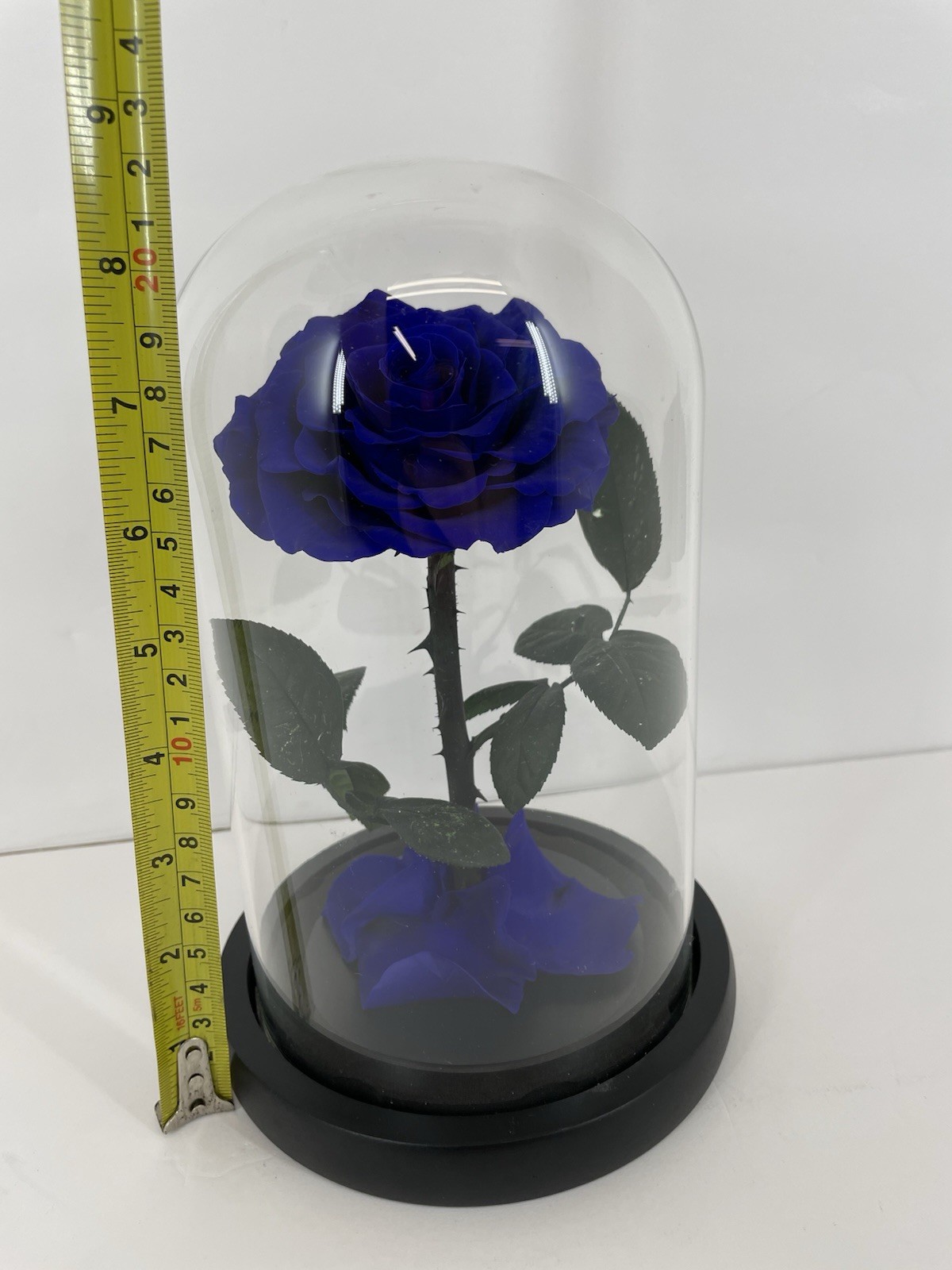 Preserved Rose in Glass Dome Eternal Enchanted Forever Purplish Blue