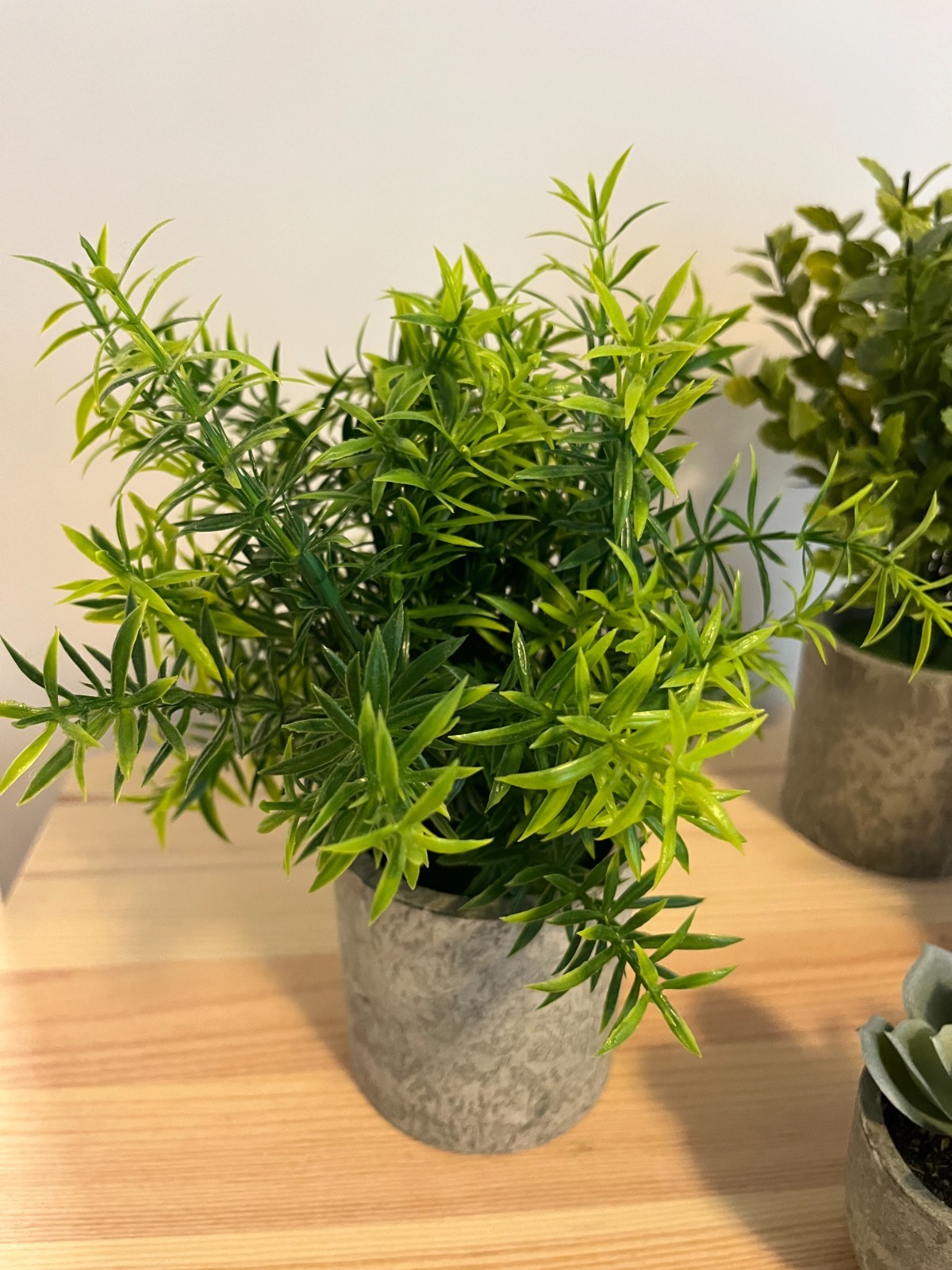 Memeaty Set of 5 Small Artificial Plants | Fake Rosemary Peppermint Succulents