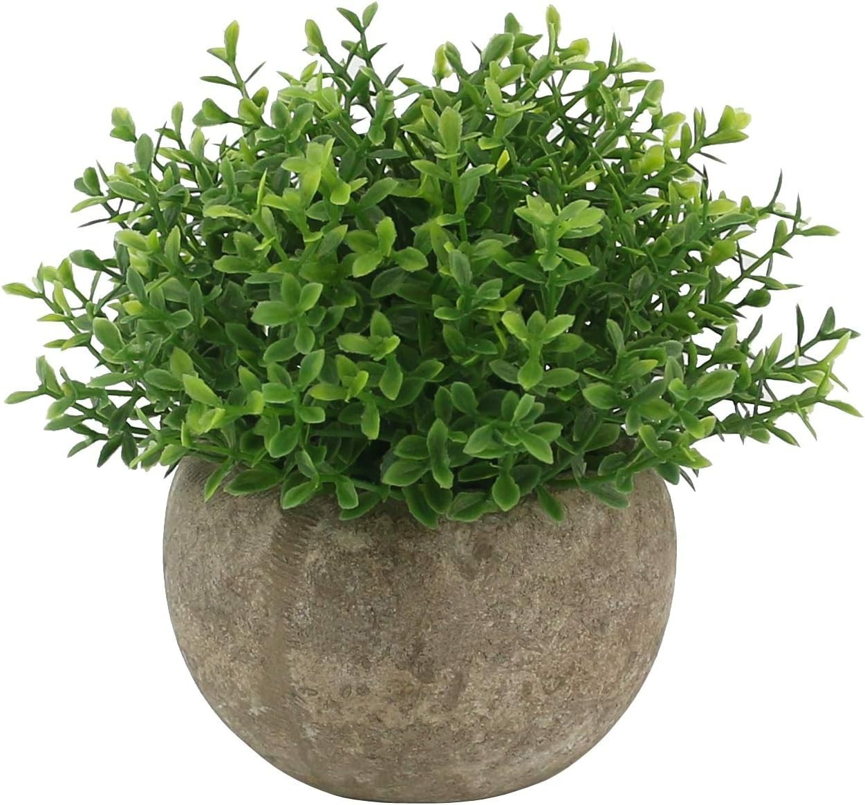 Elegant Mini Faux Plants in Ceramic Pots – Perfect for Home & Office Decor