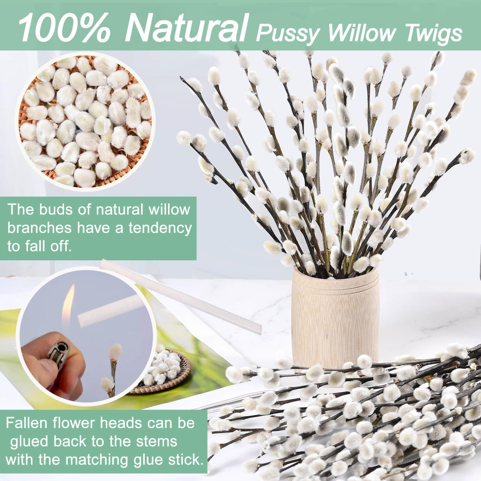 45 Stems Real Dried Pussy Willow Branches for Vase Natural PussyWillows