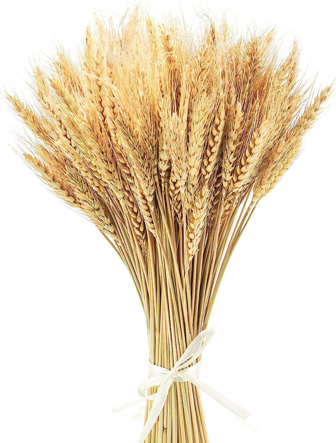 100 Stems Dried Wheat Stalks 17.7″ Natural Flowers for Home Wedding Decor Boho