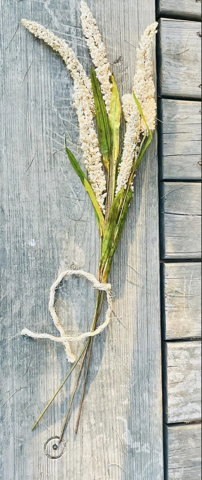 Cream Millet Stem, 30” Bundle Of 3