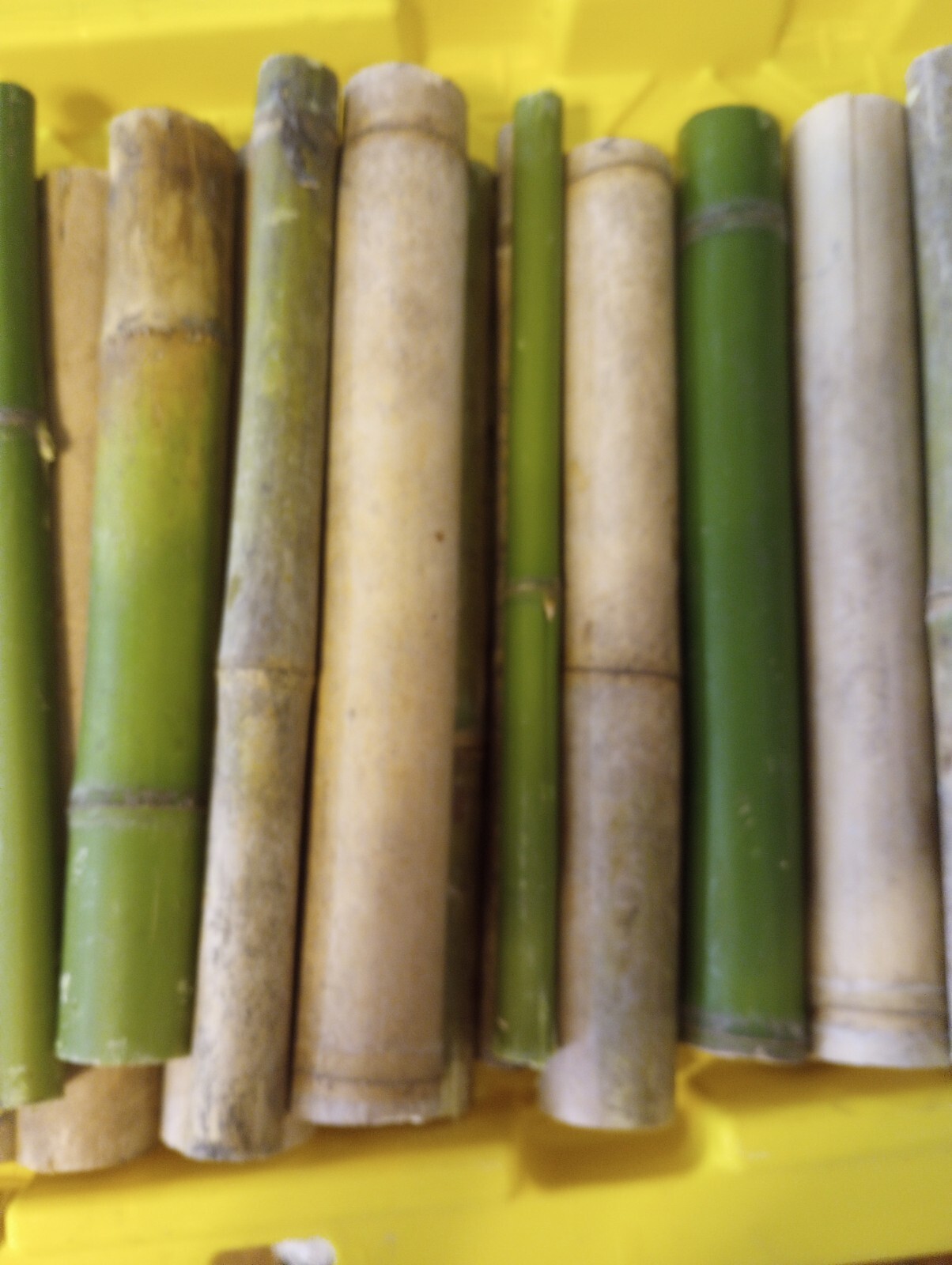 5 Bamboo Stick 1″ Diameter 12″ Long Pieces Pole craft Lot 1′ Long Decor Yard Art