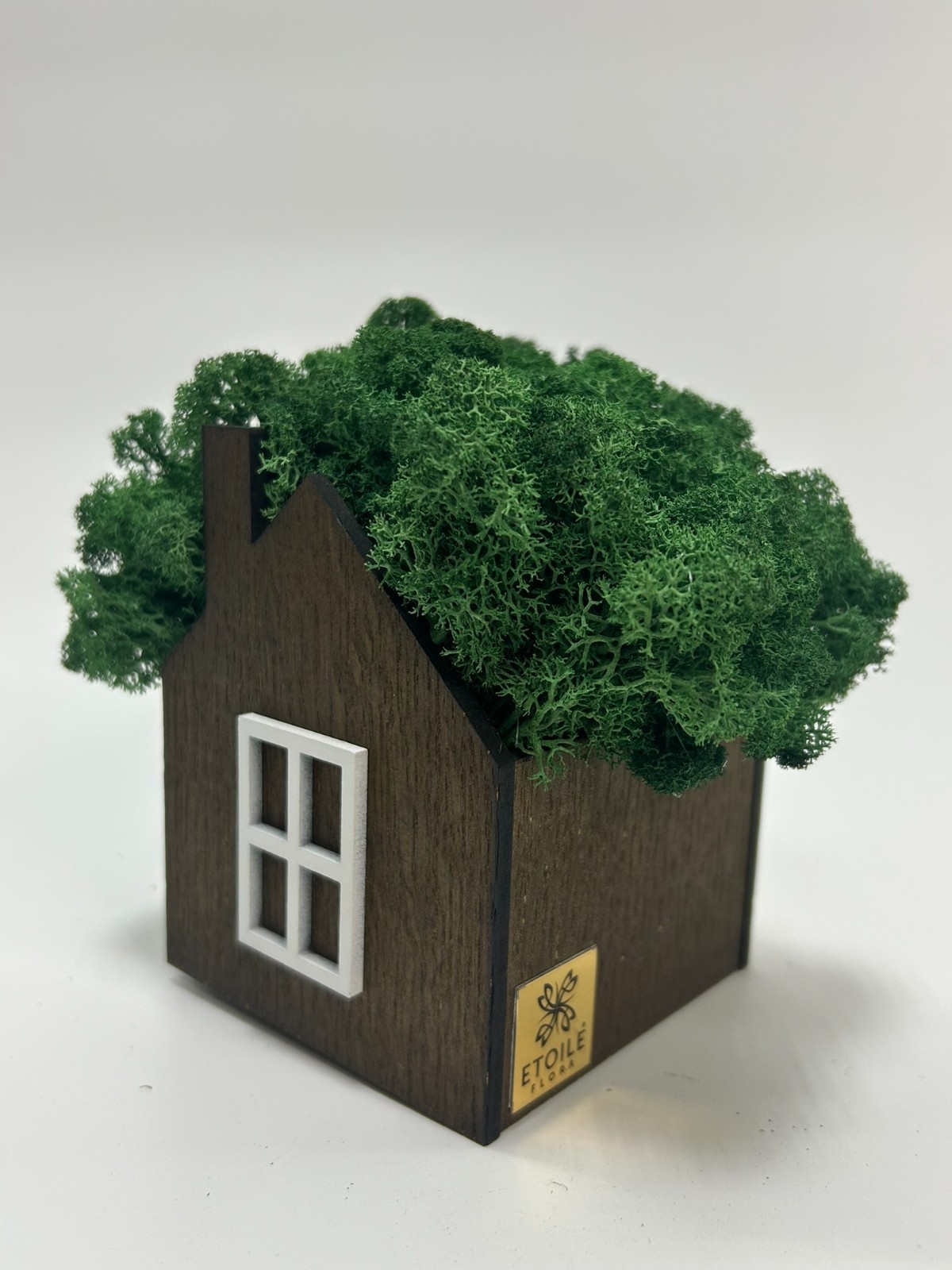 Handmade Wooden Moss House | Natural Eco Home Decor | Stabilized Moss Mini House