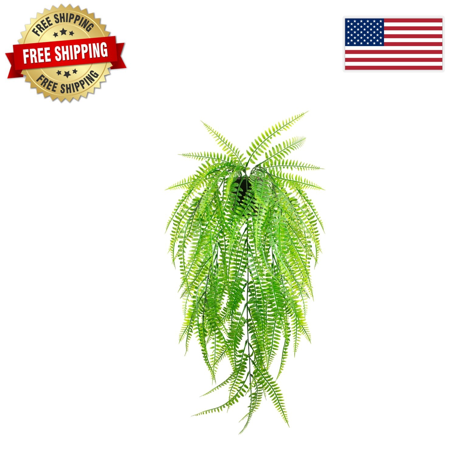 Elegant Hanging Boston Fern for Home and Office Spaces – No Maintenance Required