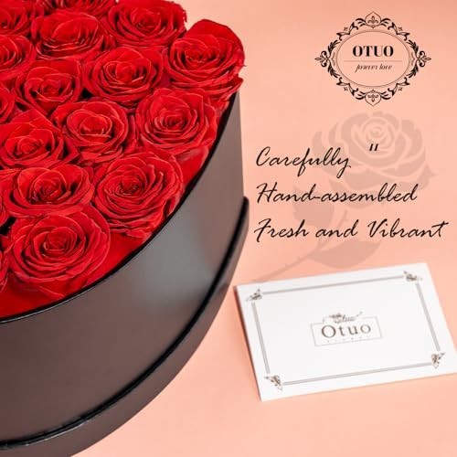 27 Preserved Red Roses in Heart Box – Lasts 2 Years, Forever Flowers for Gifts