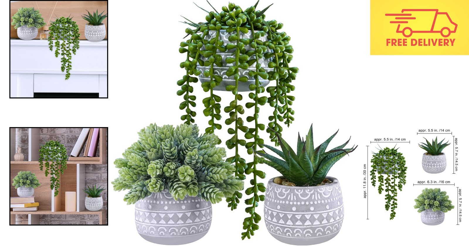 Assorted Small Potted Succulents for Modern Decor – No Maintenance Needed