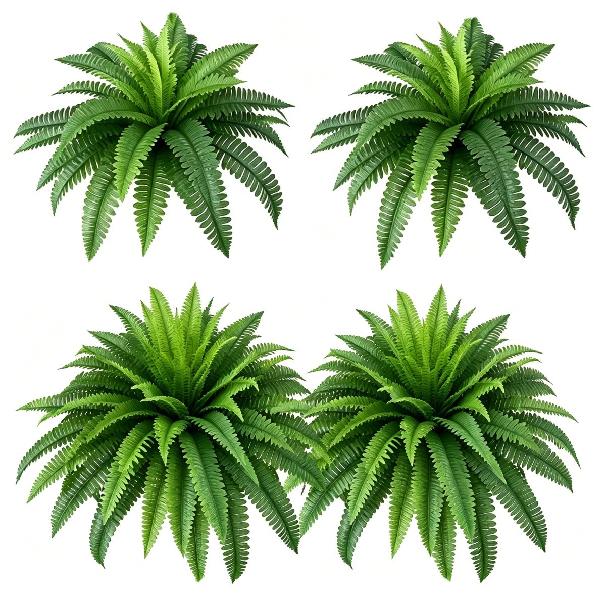 2 Pack 24 in Artificial Boston Ferns Bush Plant for Office & Living Room Decor