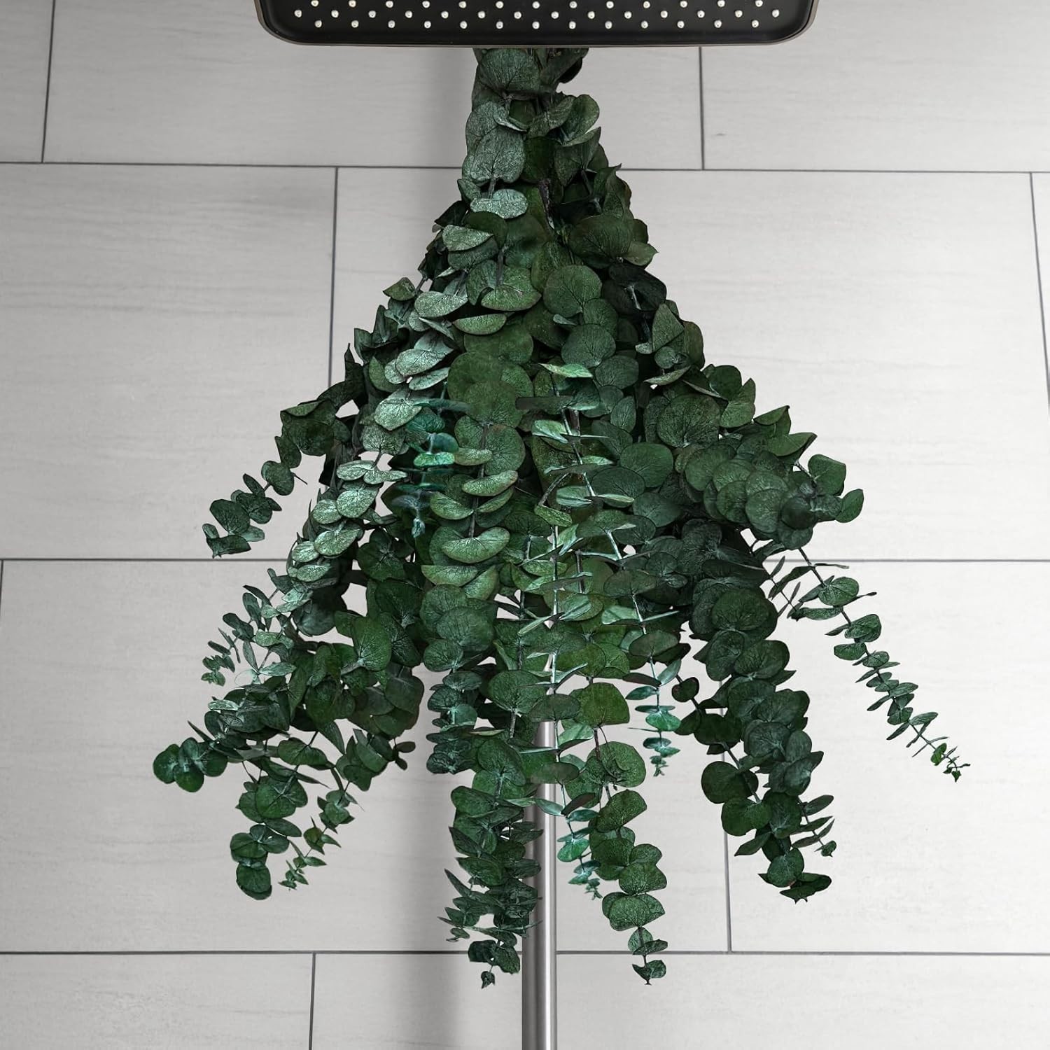 12 PCS Dried Eucalyptus Stems for Shower Hanging, 100% Made from Fresh Leaves…