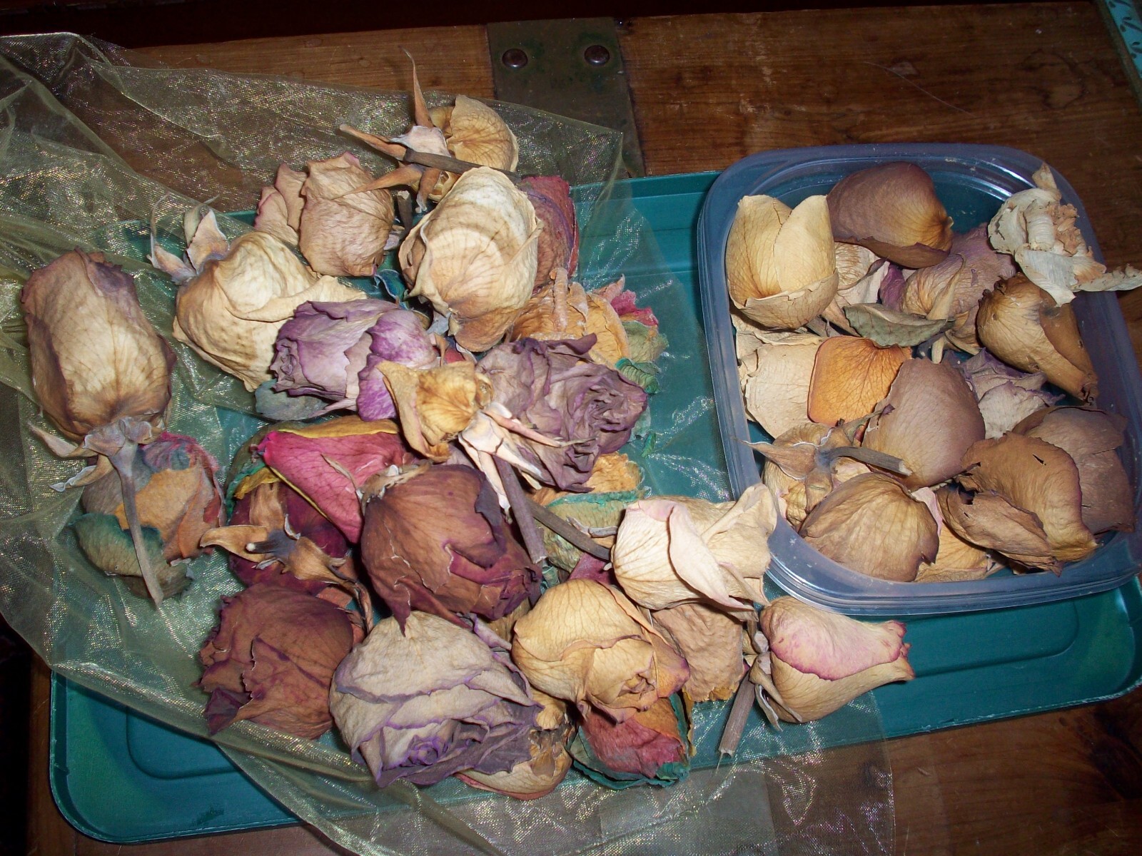 Real Dried Rose Flower Bunch of Dried Rose Heads Craft Floral Living Room Decor