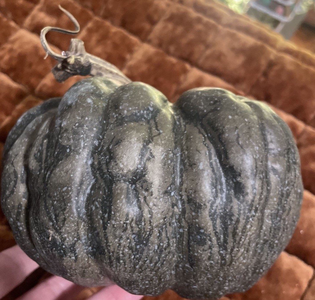 Pottery Barn Faux Pumpkin Charcoal Green Olive 6” Tall Small