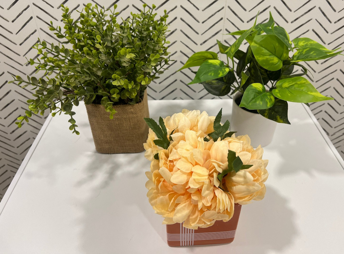 Lot of 3 artificial house plants: pathos, boxwood, and peony EUC
