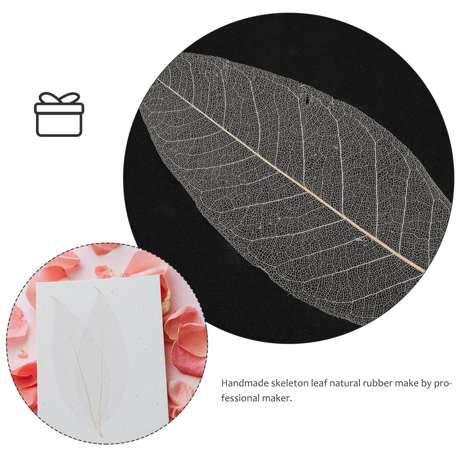 100 PCS Natural Dried Magnolia Leaf Vein Specimens DIY Craft Scrapbook