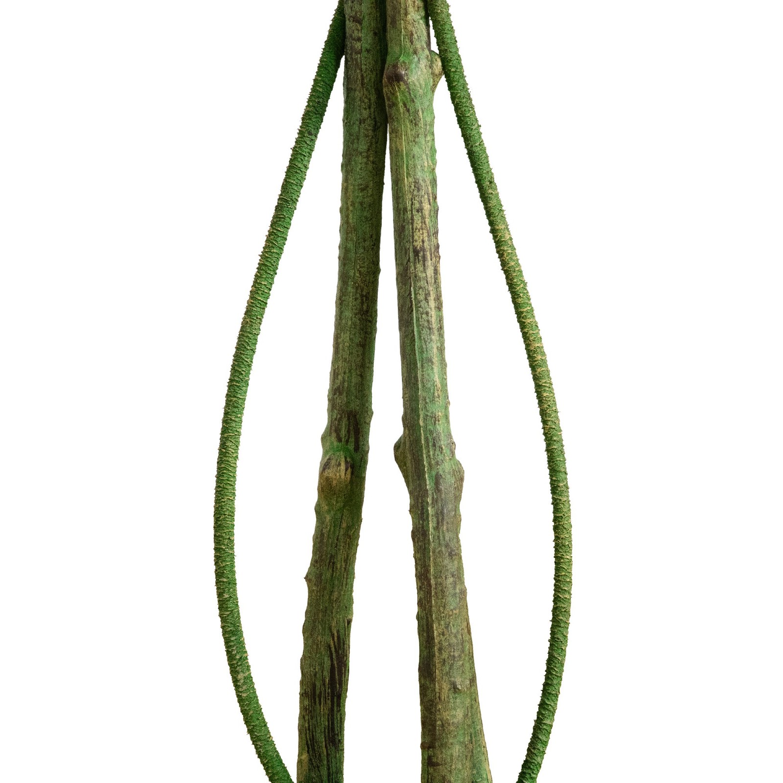 Nearly Natural 4.5ft UV Resistant Artificial Ficus Tree (Indoor/Outdoor)