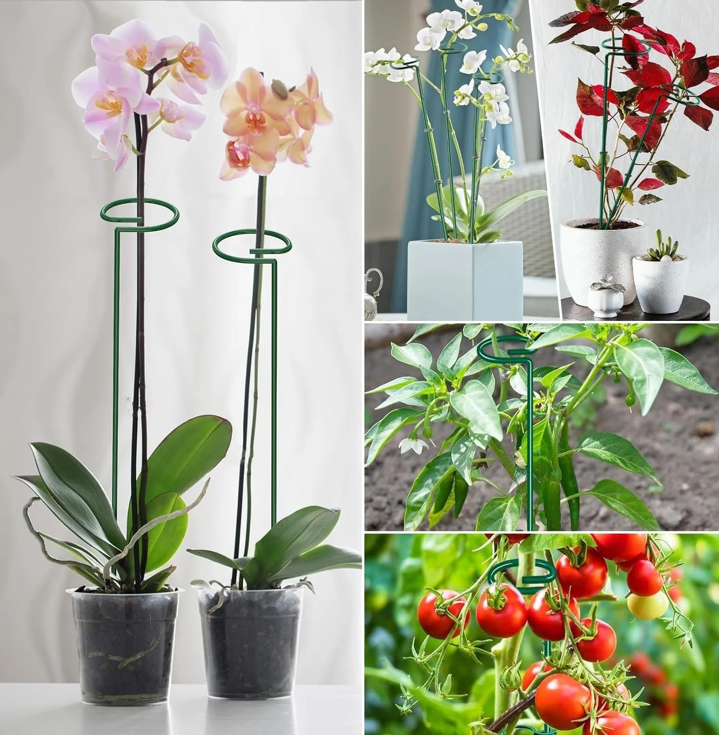 6 Pack 24 Inch Plant Support Stakes,Extendable Plant Stakes,Orchid Sticks with C
