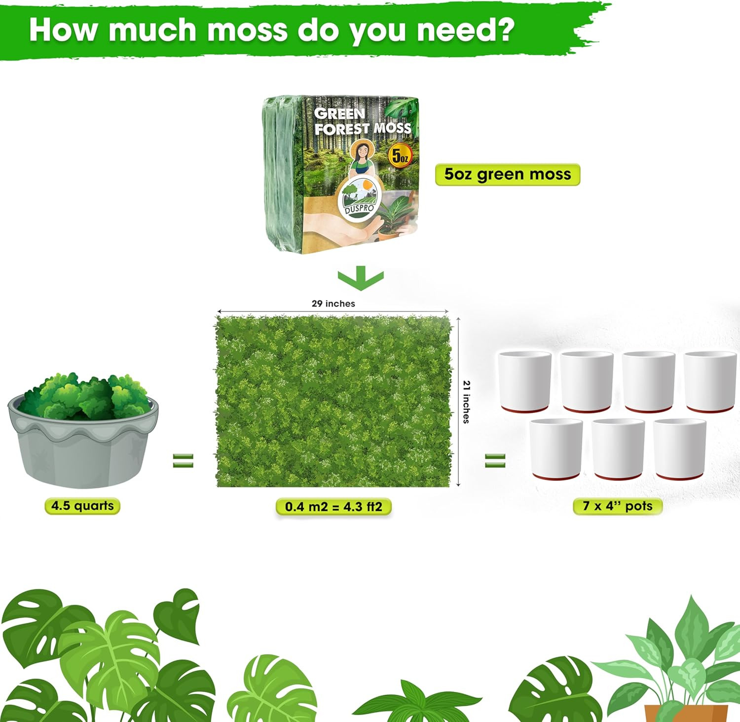 [Upgraded] Green Moss for Crafts, Real Forest Moss Potted Plants, Decorative Mo