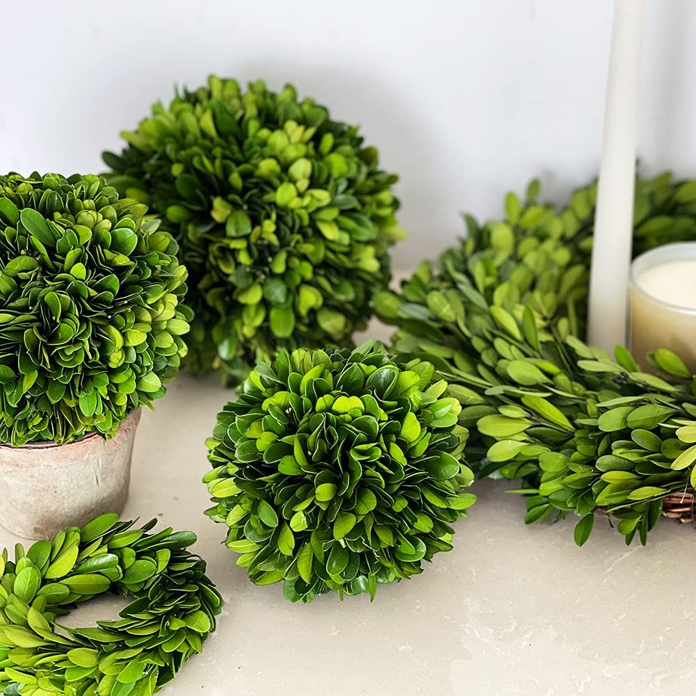 Boxwood Topiary Ball 5 inches Preserved Boxwood Decorative Balls for Wedding,…