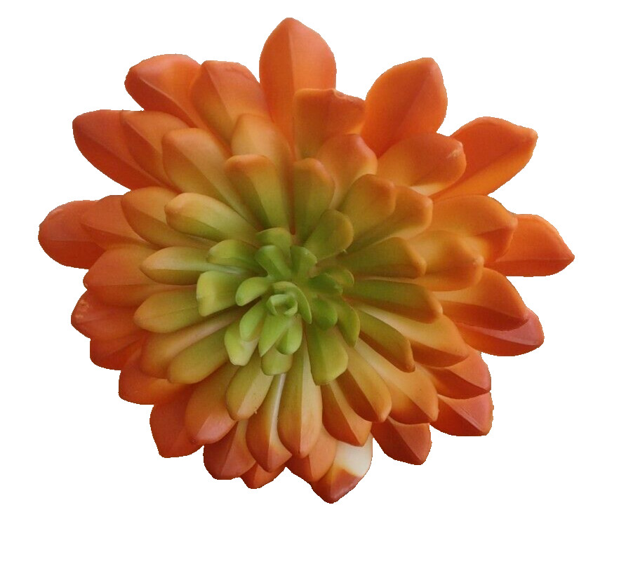 Pier 1 Flower Succulent with Vibrant Orange/Yellow/Green Colors-NEW-SHIP 24 HRS