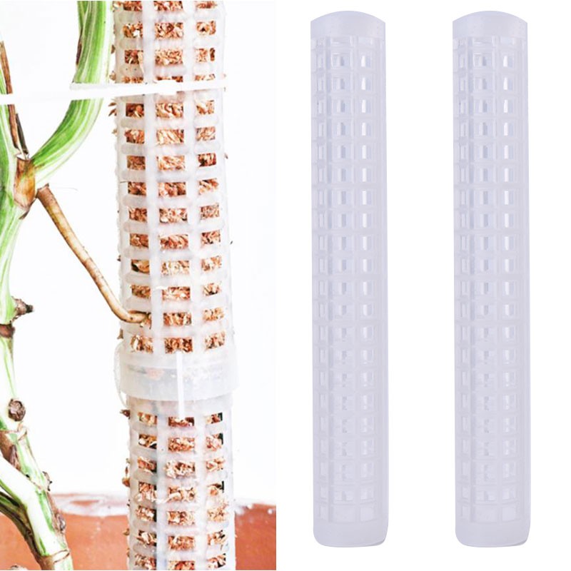 New 25cm Climbing Plant Pole Sphagnum Moss Sticks Plant Growing Support Stick!