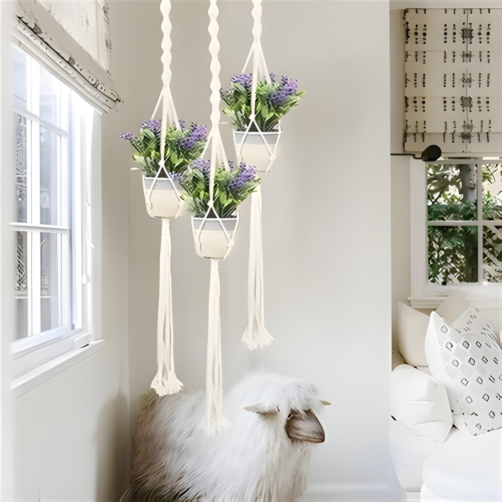 Macrame Plant Hanger 3 Pack with Hooks – Cotton Rope Hanging Planters