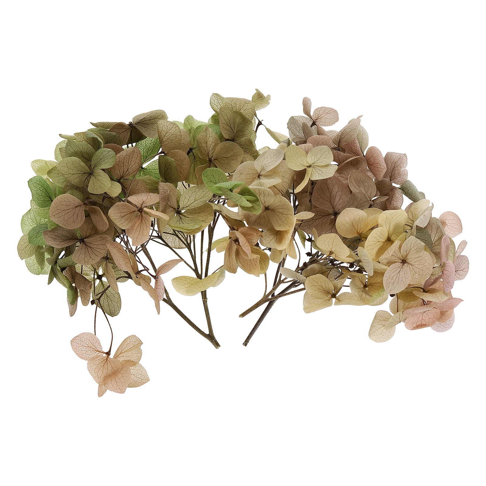 10g Mini Dried Hydrangea Flower Natural Pressed Flower Gradient Light Green Pink