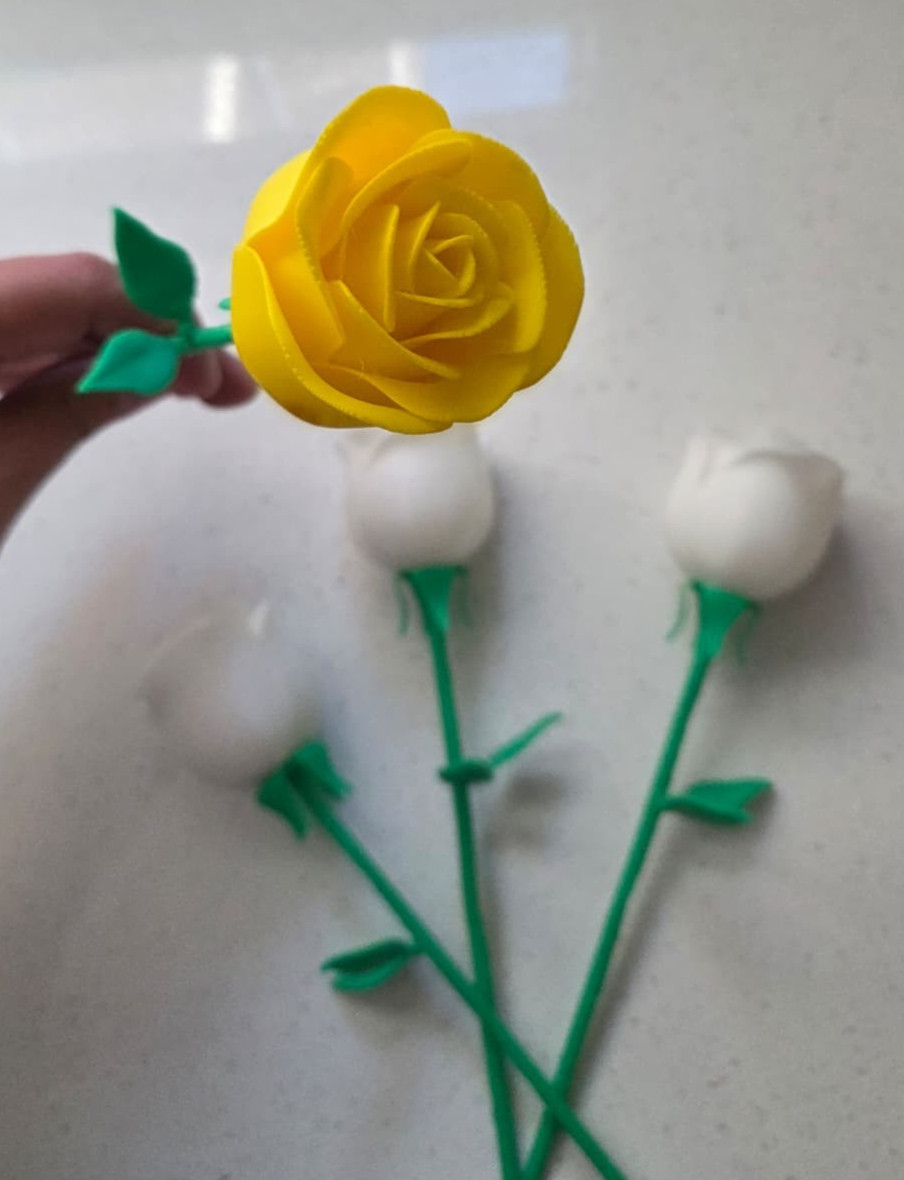 3D Printed Roses -Birthday – Valentine’s Day – Mothers Day – Gift