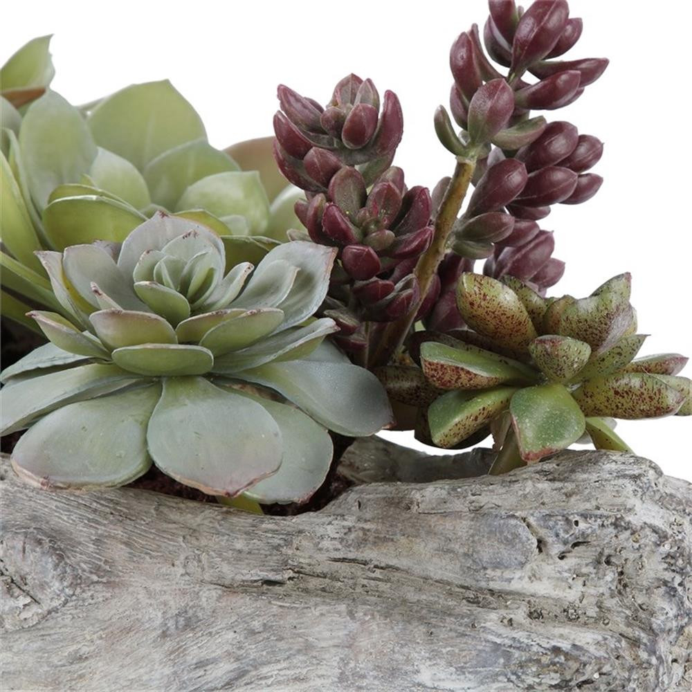 Uttermost Charita Contemporary Plastic Iron Cement Succulents in Green
