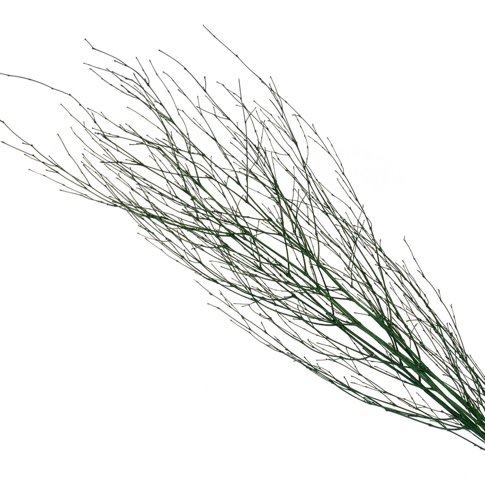 Bamboo Spray Pack of 6 Branches 28in Green