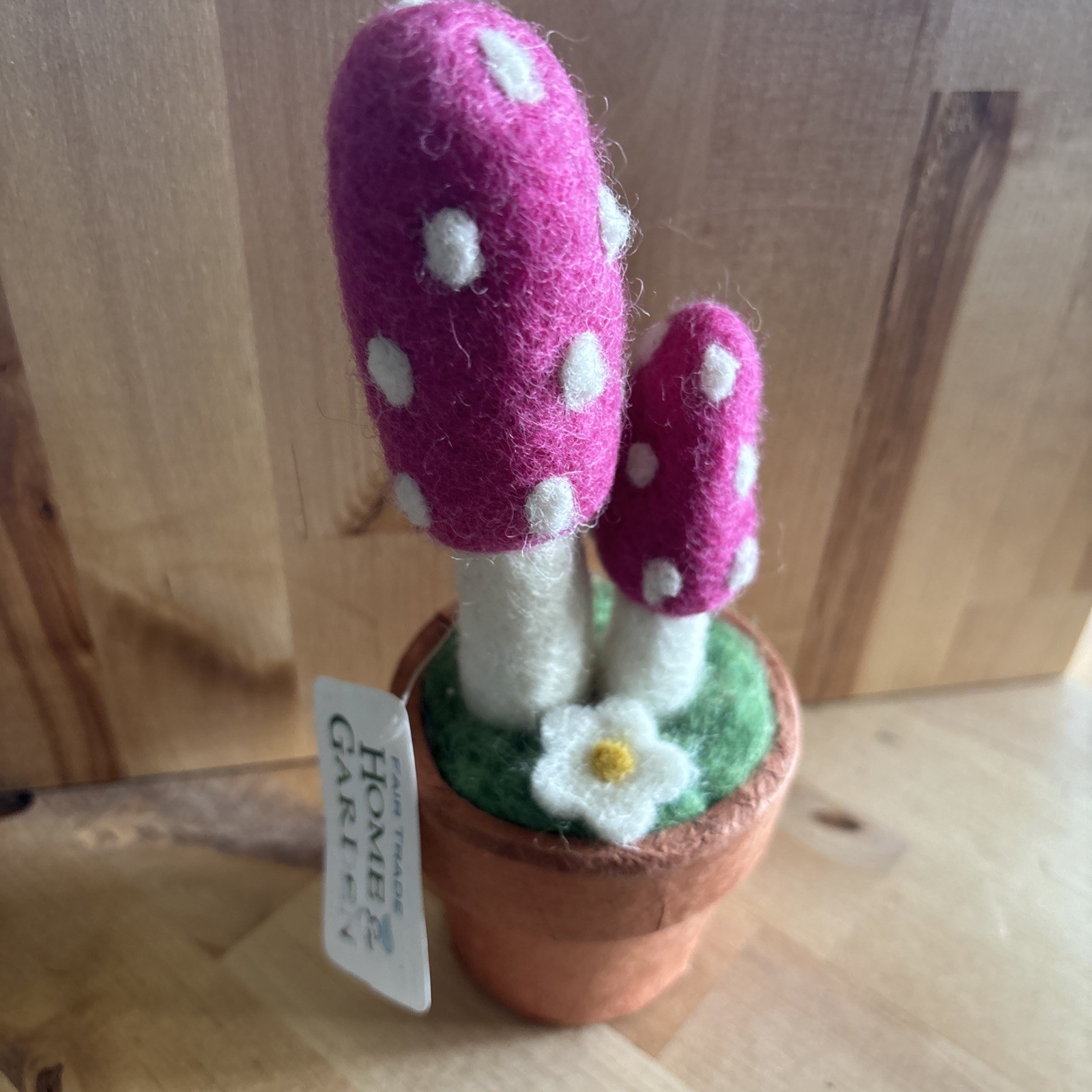 Fairy Mushrooms Wool Potted Super Cute! 8”