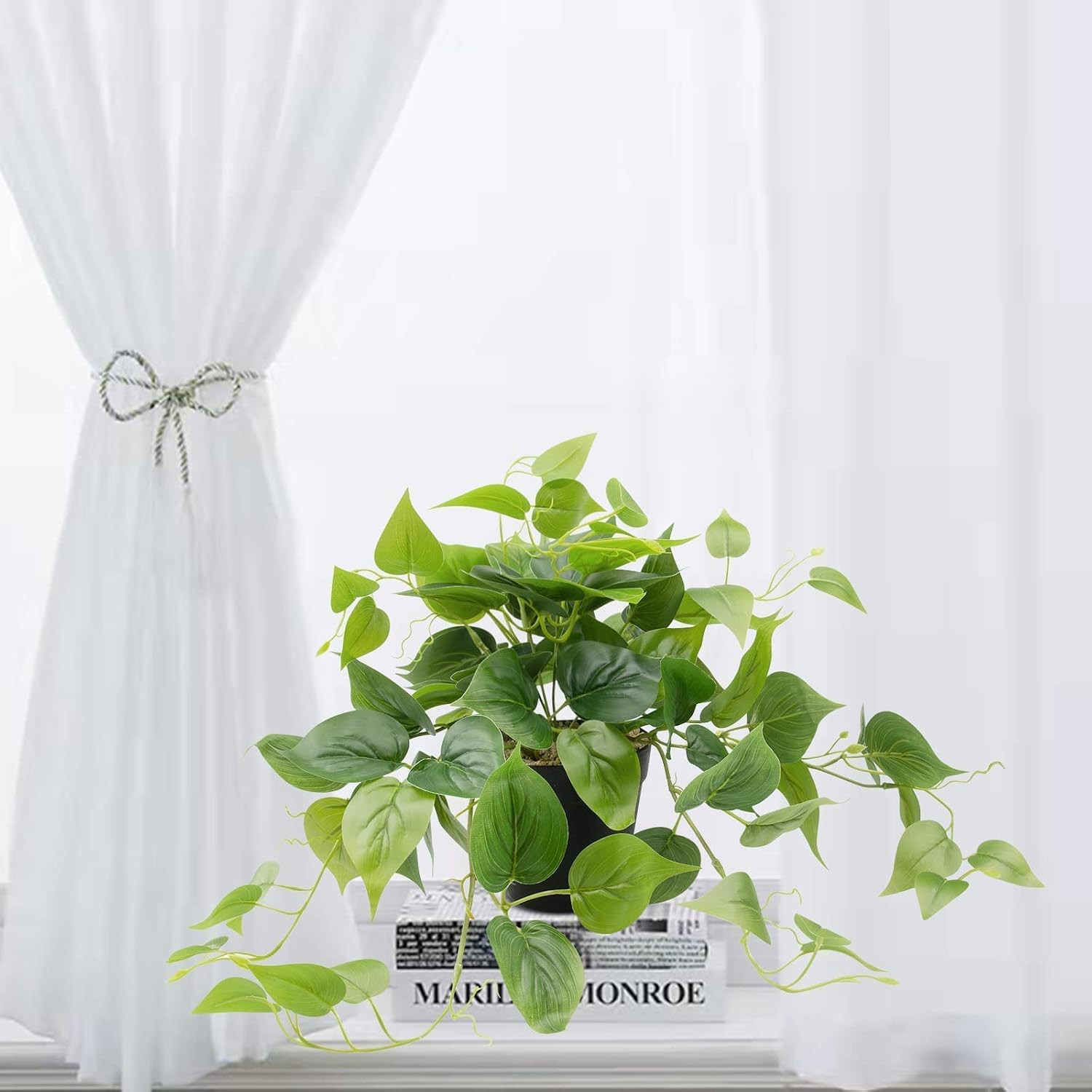 Artificial Scindapsus Aureus Fake Pothos Plants in Black Pots – Realistic Faux I