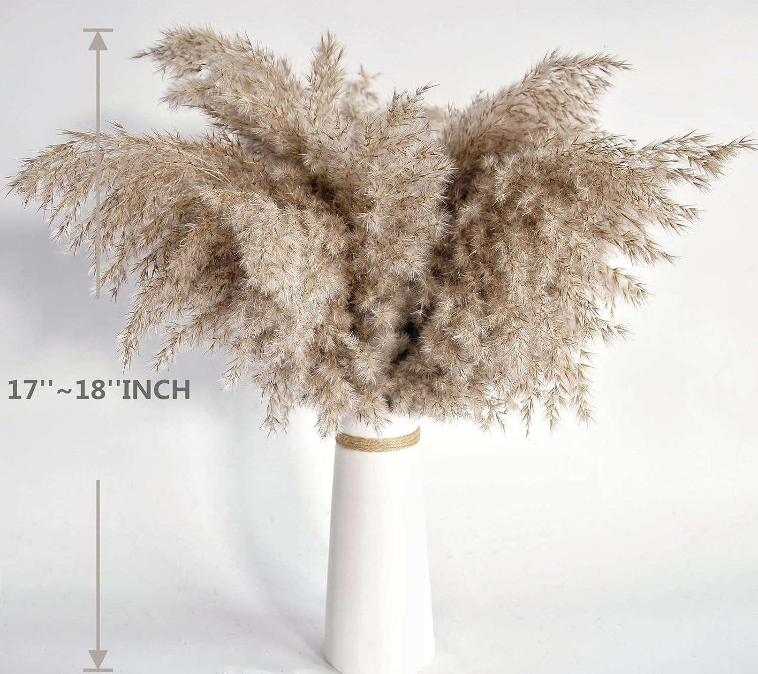 Pampas Grass Decor, Natural Dry Pampas Grass Small, Short Pampass Bulk for Farmh